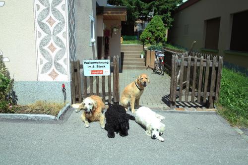 Haus Pyrola - image 6