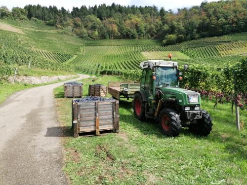 Surrounding environment, Alter Bahnhof Ortenberg in Ortenberg