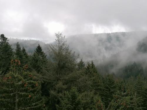 Surrounding environment, Alter Bahnhof Ortenberg in Ortenberg