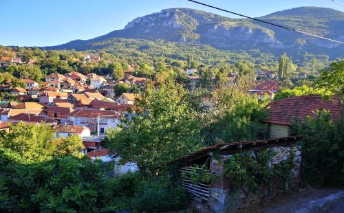 Konak Ramonda Serbika - image 9