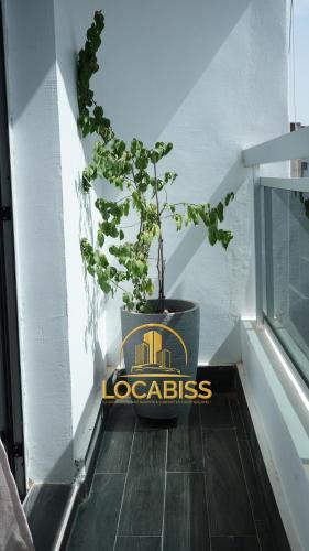 LOCABISS Appartement VIP