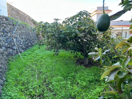 Casa La Oliva Casa La Oliva