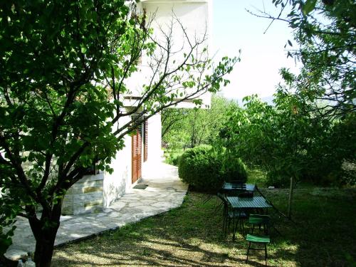  Pine Wood Oasis Apartments in Bol