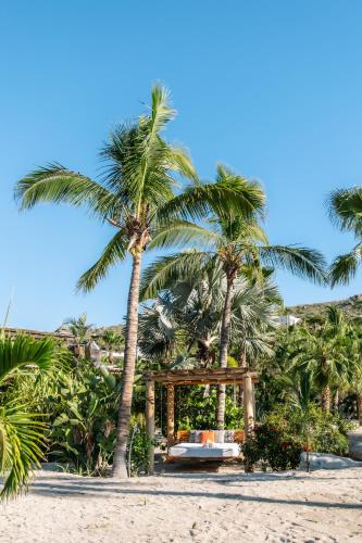 Surrounding environment, La Poza Boutique Hotel and Spa - Adults 15 plus in Todos Santos