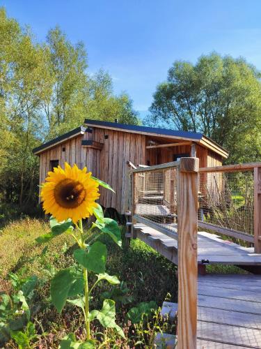 La Cabane d'Ode, Sainte-Ode