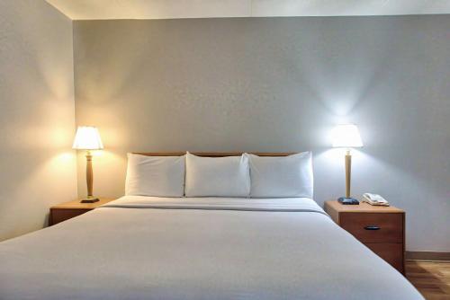 1 king bed