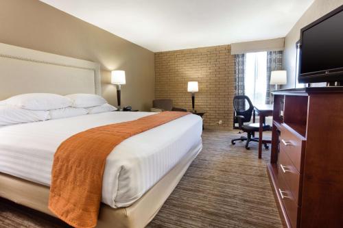 1 king bed