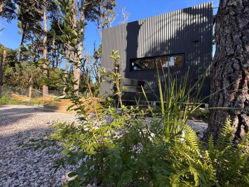 Nandina, en el bosque y playa