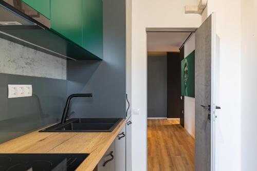 Expozitiei ap. 7 in Baia Mare City Center