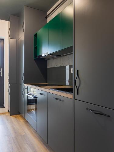 Expozitiei ap. 7 in Baia Mare City Center