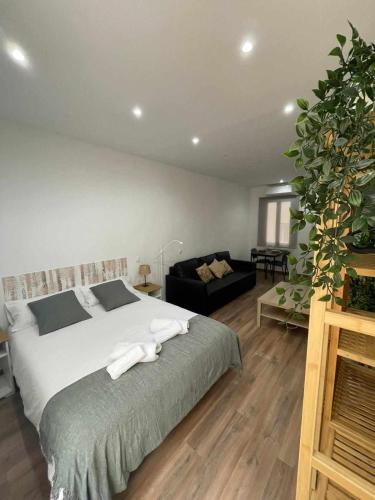 Estudio RetiroIbiza II