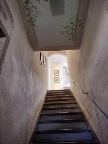 弗瑞斯特日桑尼克罗酒店