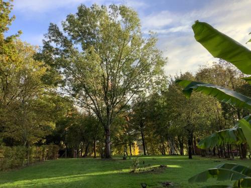 Autour Des Vignes B&B in Herry