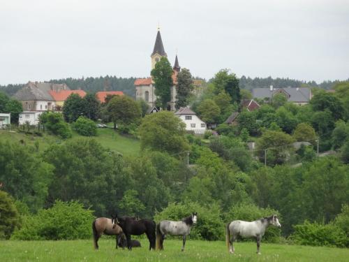 Accommodation in Čestín