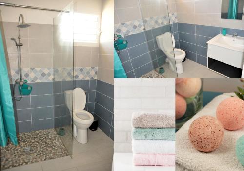 Bathroom, Le Gite Des Plantations in Capesterre-Belle-Eau