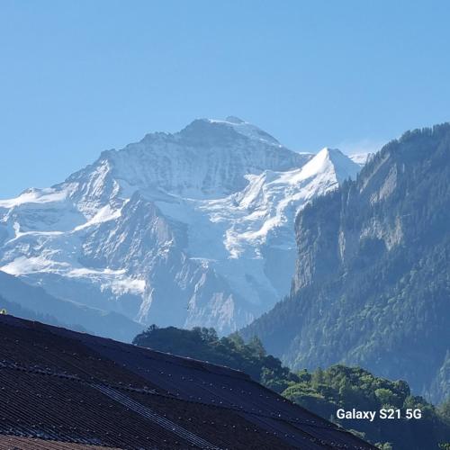 Mountain - Lake Apartement 1 - Apartment - Wilderswil bei Interlaken