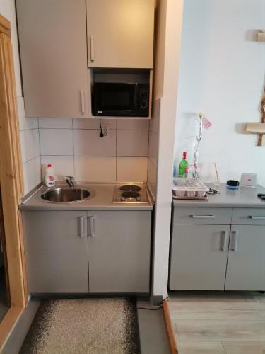 Apartmani Košuta- Ljiljana Đokanović - image 8