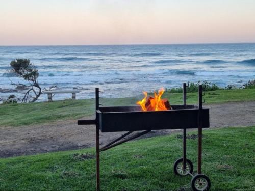 Patogumai, Stumble Inn in Haga Haga