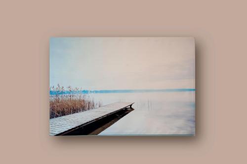 The Wonder Shore, Amberes (foto 7)