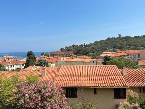 Appartement Collioure, 2 pièces, 4 personnes - FR-1-309-394