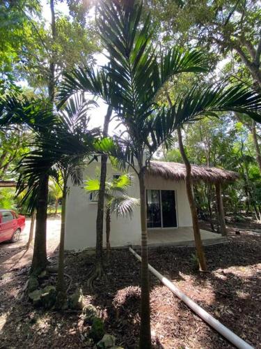 Cozumel Island - Cozy & Romantic Jungle Bungalow - WIFI/Netflix in Cozumel, Mexico
