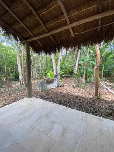 Cozumel Island - Cozy & Romantic Jungle Bungalow - WIFI/Netflix in Cozumel, Mexico