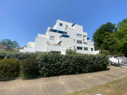 Apartment image 1