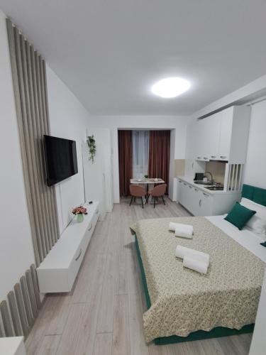 Anne Studio, Onești