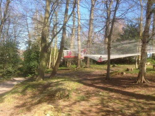 Woody Park - image 14