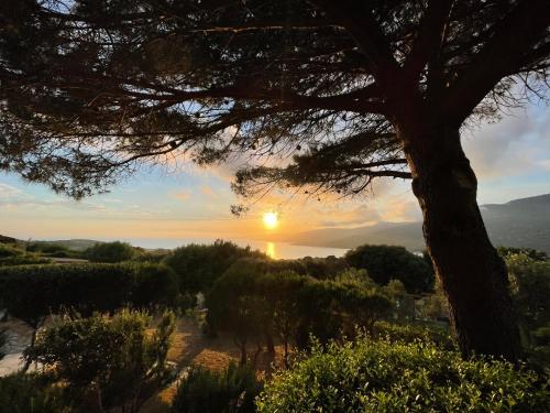 Résidence île de beauté - Location saisonnière - Propriano