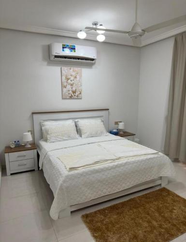 Muscat -Furnished apartment