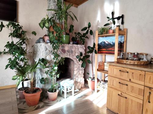 Evergreen Guesthouse