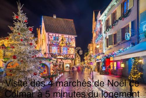 Duplex tout confort, 2 min de Colmar, parking gratuit in 奧爾布爾維爾