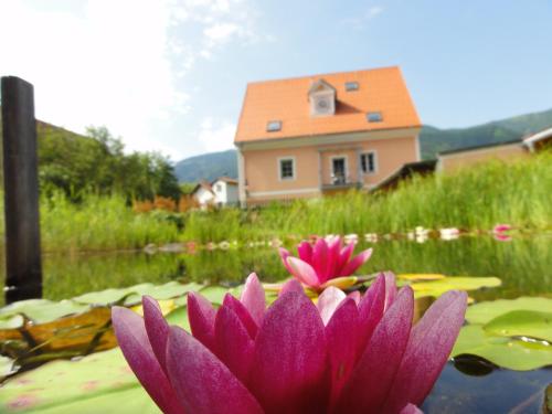 2 bedrooms, 5 beds