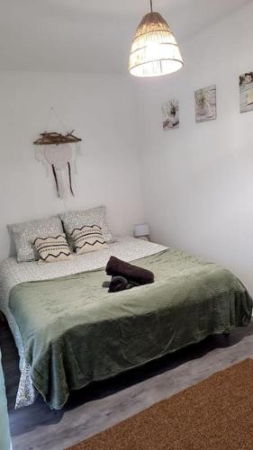 Le Cocon de L'Horme 30 min LYON Parking privé - Apartment - LʼHorme