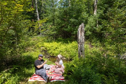 海景汽车旅馆和小屋