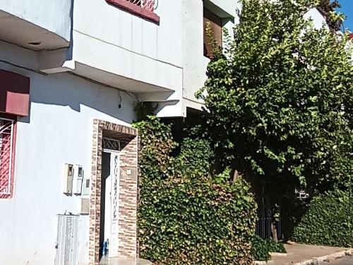 Exterior view, Appartement meuble a louer in Zitoune