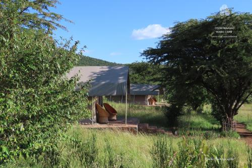 Oseki Maasai Mara Camp