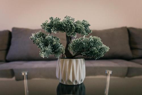 EXCLUSIVE Plus EXCLUSIVE Plus