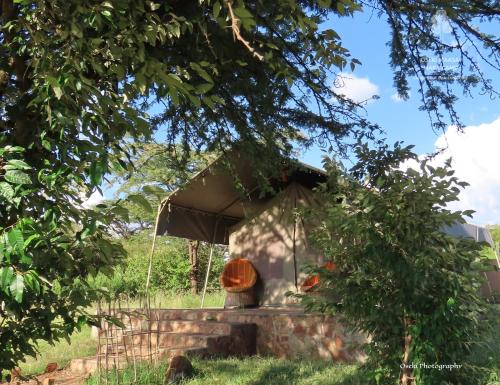 Oseki Maasai Mara Camp