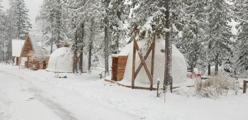 Glamping Dome