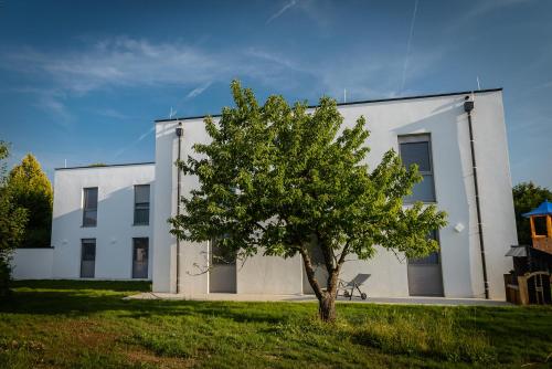 Kilátás, Dorfmeister Business Hotel B&B in Weikersdorf
