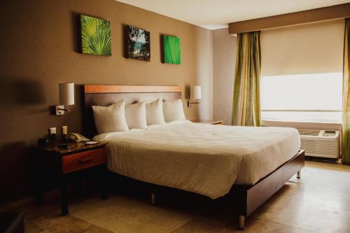 Hilton Garden Inn Boca del Rio, Veracruz - 전망