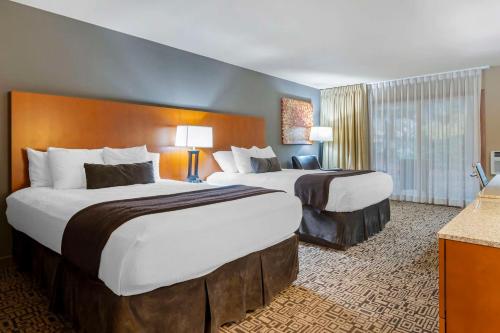 2 queen beds
