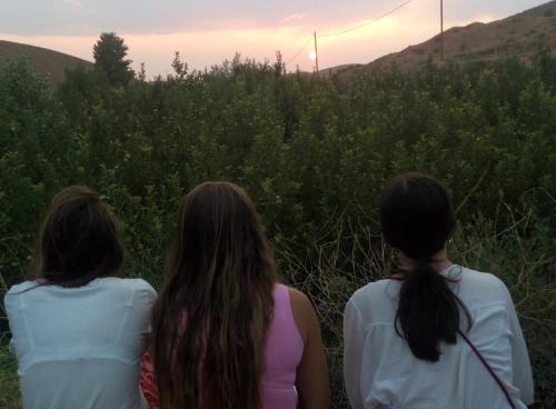 Gite Vanadenite Gite Vanadenite