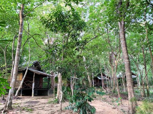 Room in Bungalow - Foresta Cottage of Koh Pu