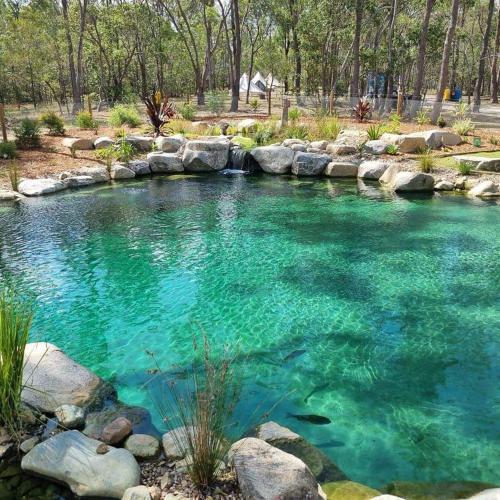 Swimming pool, Eureka Station Camping Retreat in Childers