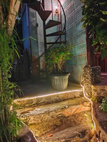 Junia Guesthouse Bukit Lawang Room Type - Cottage