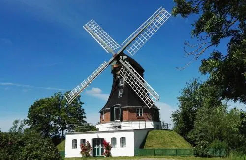 Windmühle Catharina in Oldenswort, Deutschland