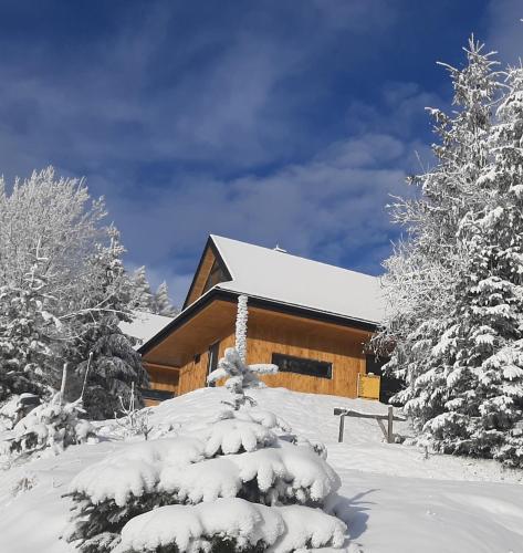 Domki Krynica - Chalet - Krynica Zdrój